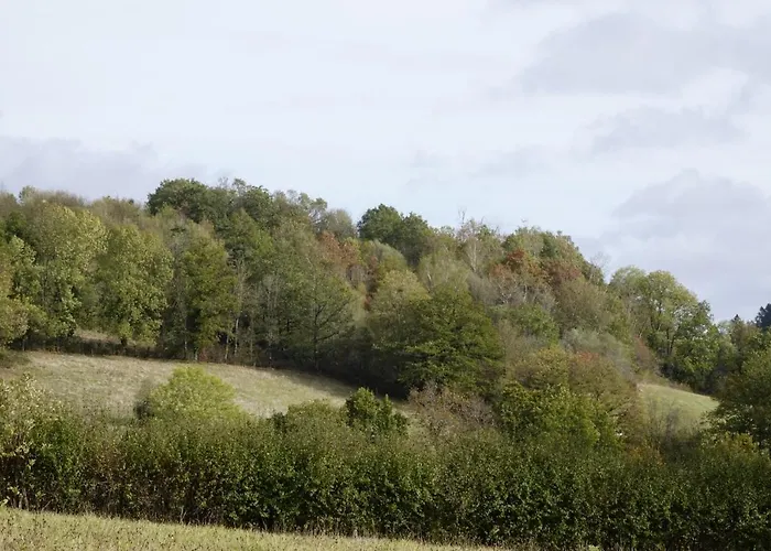 Le Montaurier Apartment *